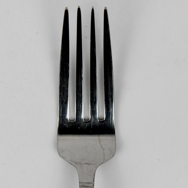 Lot of 2 Tatum Frost by Mikasa Forks Stainless Steel Frost Center Glossy Edge