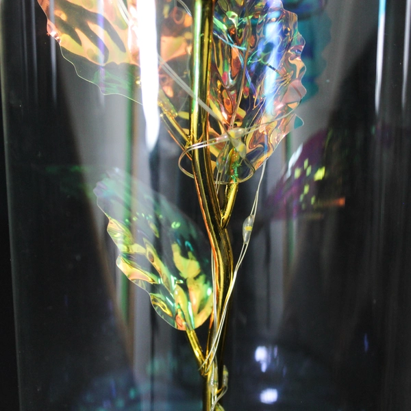 LED Light Lamp Rose Light In Glass Dome