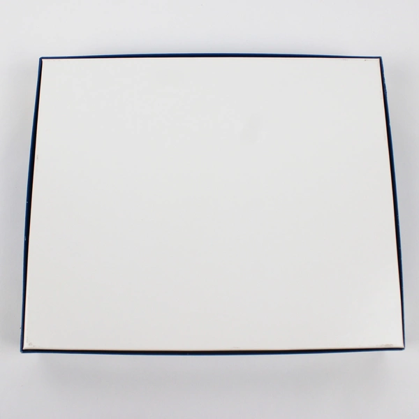 San Francisco Painted Ladies 1,000 Piece Jigsaw Puzzle Complete 