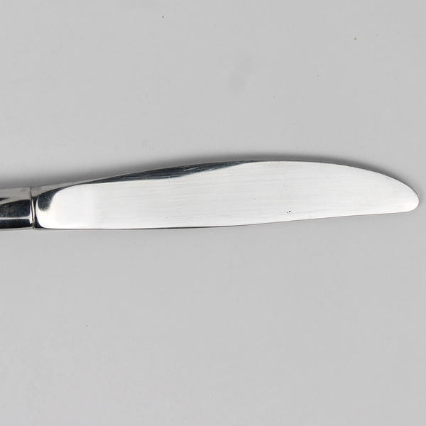 Lot Of 7 Oneida Silver Sweet Briar (Stainless) Flatware Dinner Knife 8.5" Long