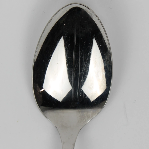 Lot Of 2 William Rogers Spring Flour Stainless Flatware Serving Set 8" Long