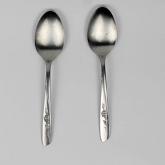 Lot Of 2 William Rogers Spring Flower (Stainless) Flatware Serving Spoons 8"