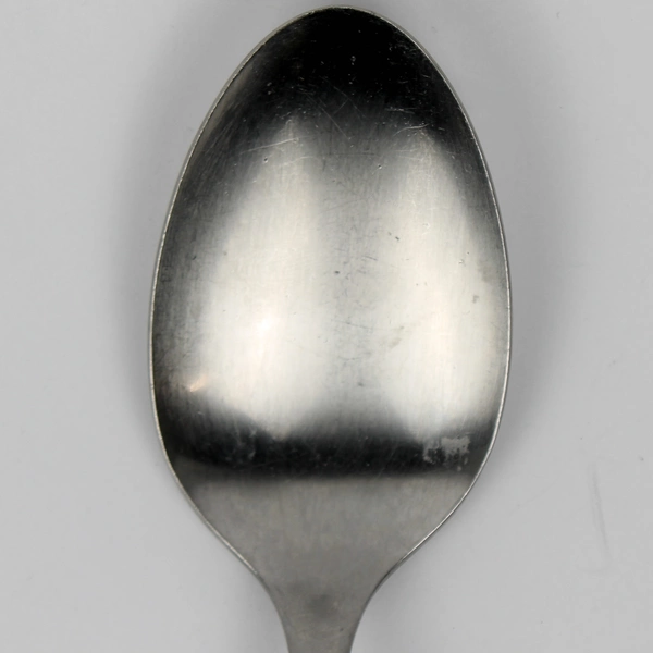 Lot Of 2 William Rogers Spring Flower (Stainless) Flatware Serving Spoons 8"