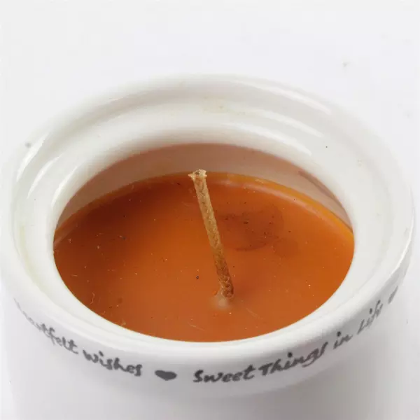 Heartfelt Wishes Crock Candle Pumpkin Tart Scented 6" Fall Holiday Decor