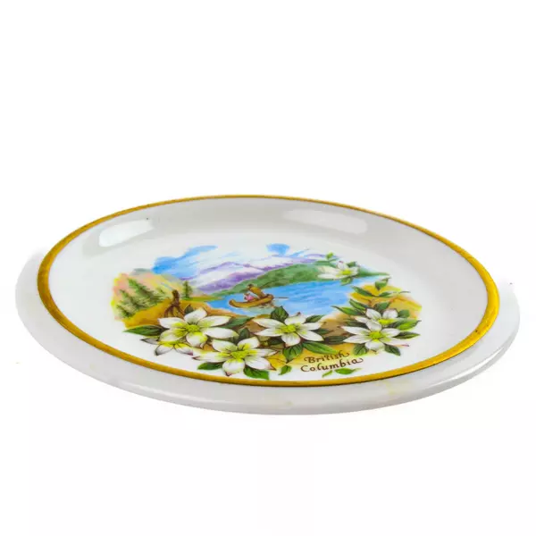 Heritage Regency English Bone China British Columbia Souvenir Plate Fishing