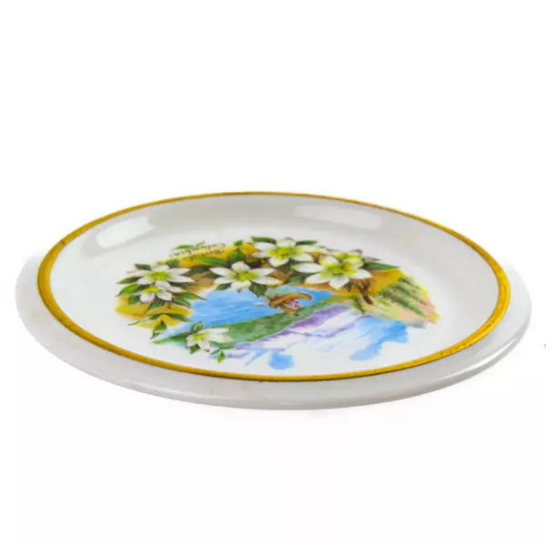 Heritage Regency English Bone China British Columbia Souvenir Plate Fishing