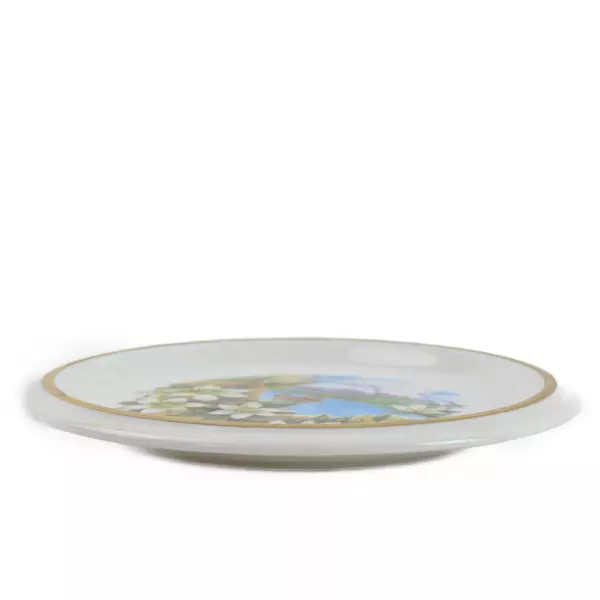 Heritage Regency English Bone China British Columbia Souvenir Plate Fishing