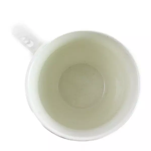 Pier 1 Tropical Wave Ceramic Mug Dishwasher Safe 5" x 3.5" x 4"