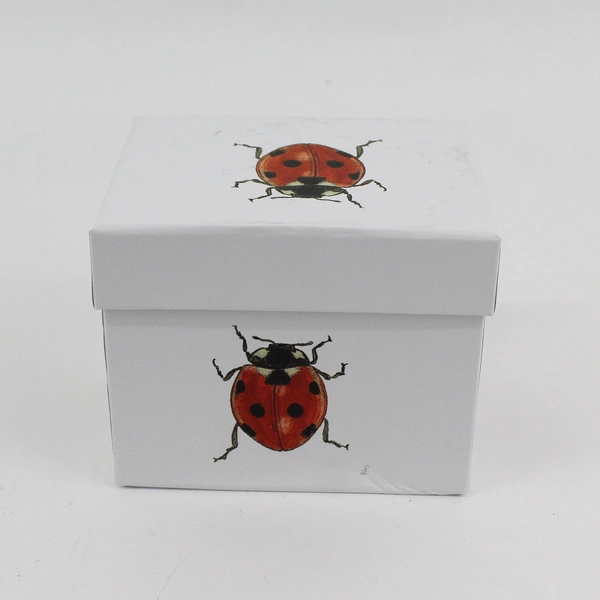 Paper Products Design Charlotte Galloux Ladybug Coffee Mug