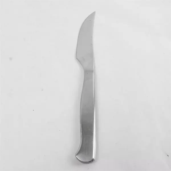 Set of 4 Cuisinart Stainless Dinner Knives 