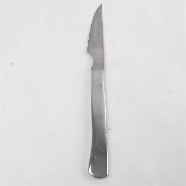 Lot of 2 Cuisinart Stainless Salad Fork & Serrated Steak Knife 