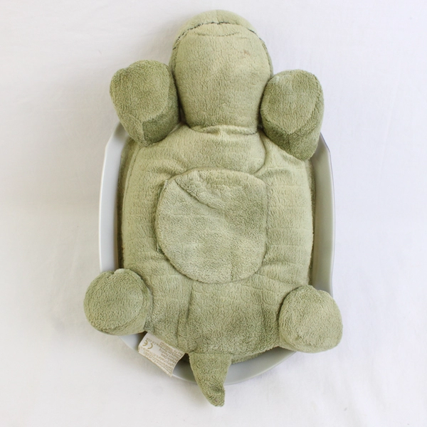 Cloud B Twilight Tranquil Turtle Star Night Light Sky Projector Toy