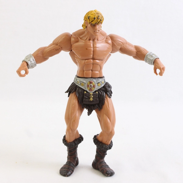 Mattel MOTU Masters of the Universe He-Man Action Figure 2001