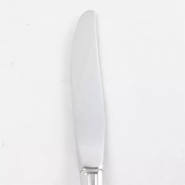 Set of 6 Oneida Repose Stainless Modern Hollow Handle Dinner Knives 9.25in