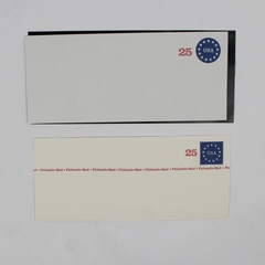Set Of 2 1989 USPS 25 Cent Envelopes Philatelic Mail