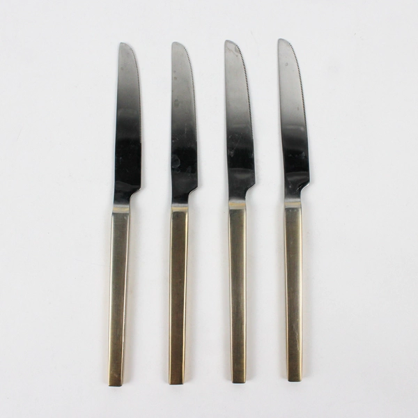 Lot of 4 Splendide 18/10 Stainless Dinner Knives 9.25" Unknown Pattern