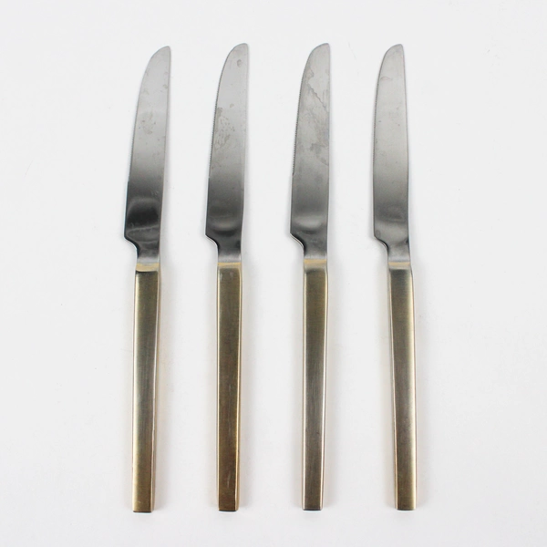 Lot of 4 Splendide 18/10 Stainless Dinner Knives 9.25" Unknown Pattern