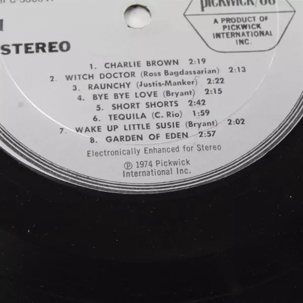 Teenage Flames Your Parade of 15 Hits of the 50's SPC-3368 12" Vinyl