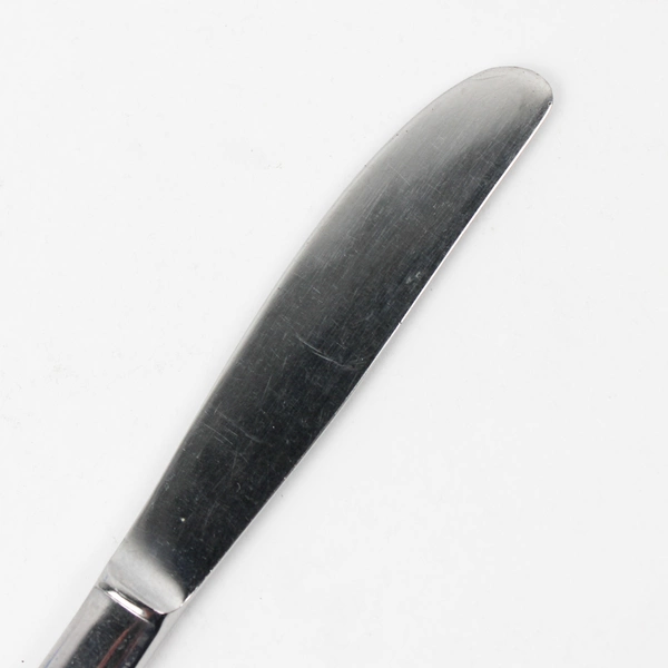 Lot of 6 Montgomery Ward Grape Pattern Stainless Dinner Knives 8.25"