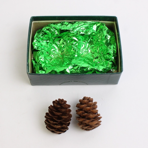 Vintage Cape Shore Pine Cone Stationery Partly Used