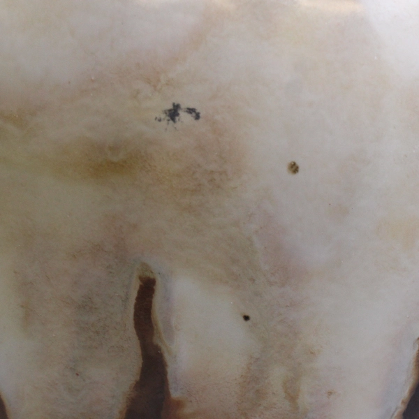 Unbranded Ceramic Cream White/ Brown Drip Style Bouquet Vase 8.75" Tall