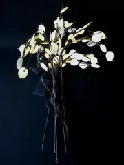 Lot of Light Up Decor Branches For Vases Tall Flat White Petals Battery Operated