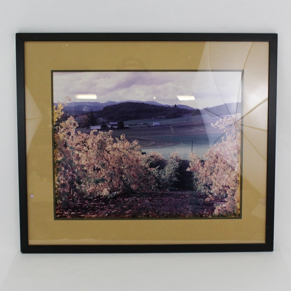 Dennis Hoisington Framed & Matted Landscape Photo 22.5 x 26.5"