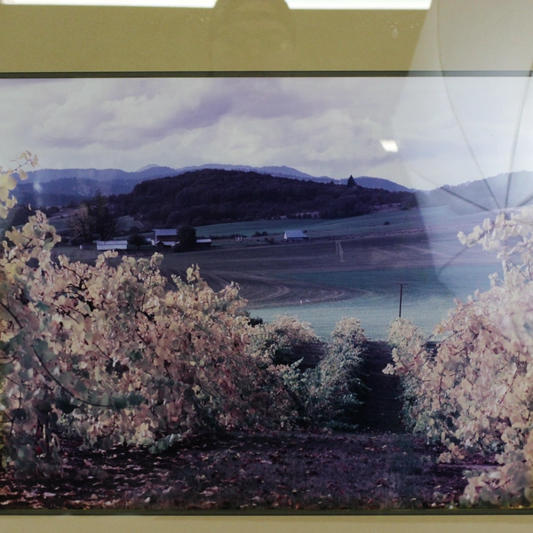 Dennis Hoisington Framed & Matted Landscape Photo 22.5 x 26.5"