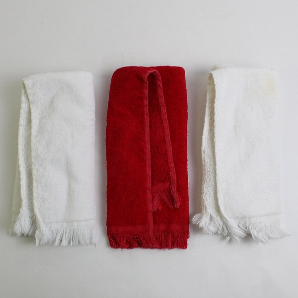 Lot Of 3 Fieldcrest Red/White Christmas Embroidered Hand Towels 11" x 16"