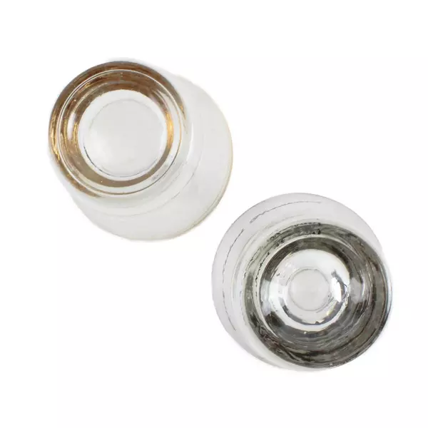 Lot of 2 Vintage Ring-Necked Pheasant Shot Glasses Gold Rim Clear