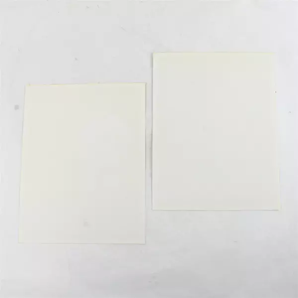 Lot of 2 Portland Winterhawks 8x10 Photos Brandon Smith Dave Cammock