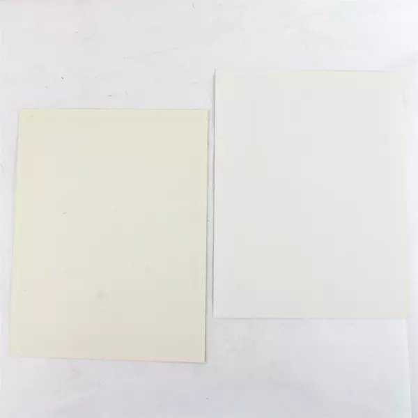 Lot of 2 Portland Winterhawks 8x10 Photos Chris Rowland + Unidentified Player