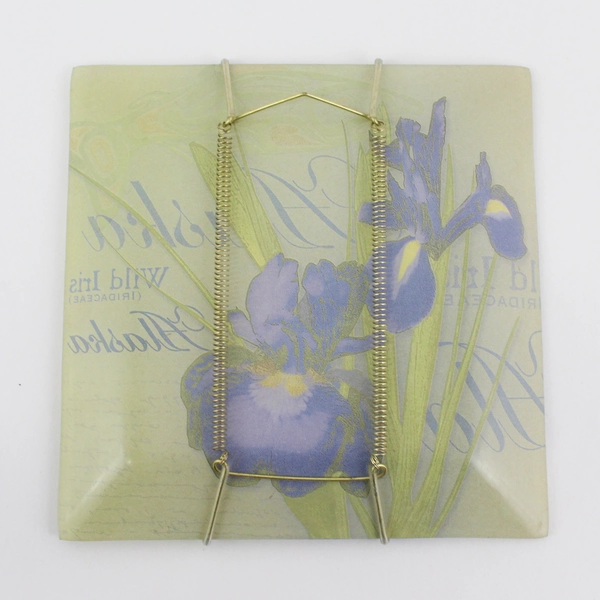 Decorative Glass Plate Alaska Wild Iris 8" Plate Hanger Included
