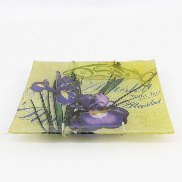 Decorative Glass Plate Alaska Wild Iris 8" Plate Hanger Included