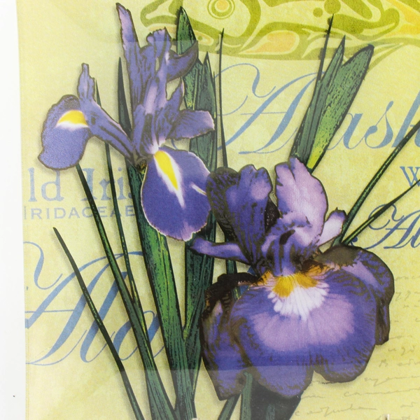 Decorative Glass Plate Alaska Wild Iris 8" Plate Hanger Included