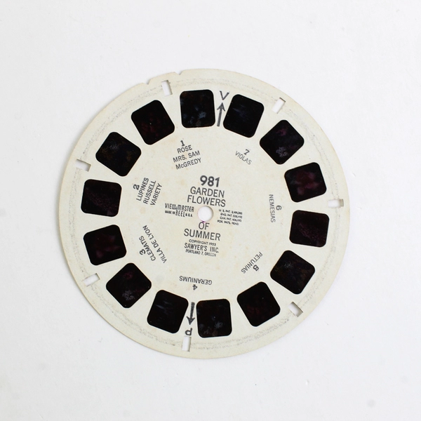 Set Of 3 View-Master Reels #980- 982 Garden Flowers Of Spring, Summer And Autumn