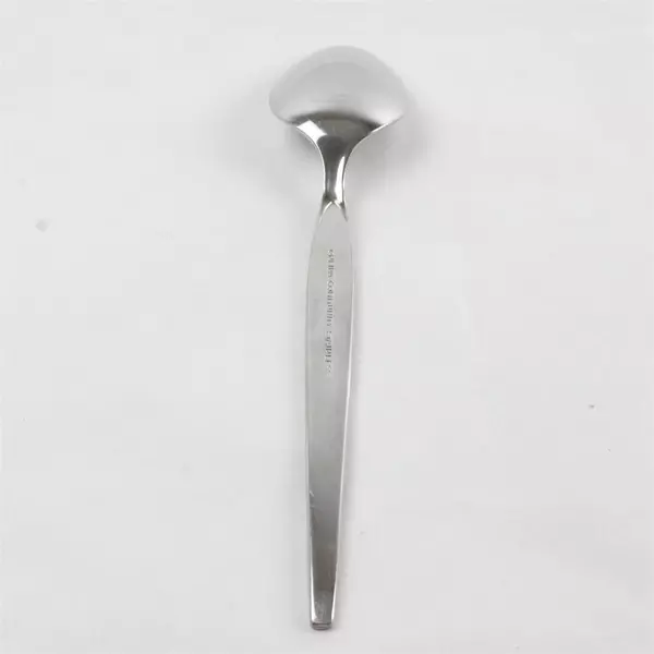 Set of 6 Oneida Satinique Stainless Steel Teaspoons