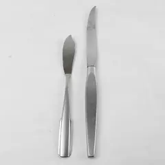 Lot of 2 Oneida Stainless Steak Knives Hollow Handle & Butter Knife