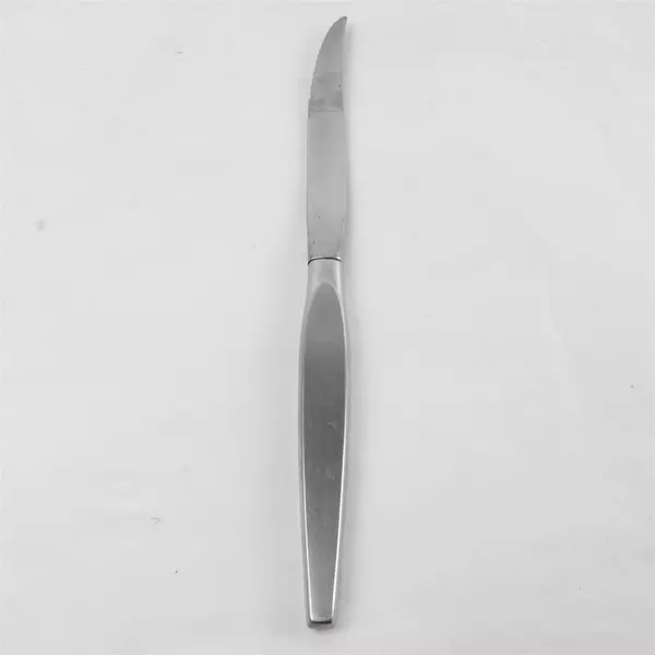 Lot of 2 Oneida Stainless Steak Knives Hollow Handle & Butter Knife