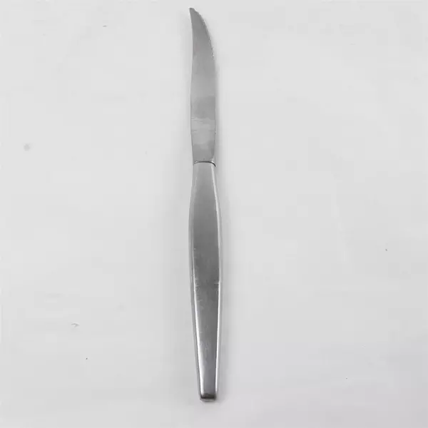 Lot of 2 Oneida Stainless Steak Knives Hollow Handle & Butter Knife