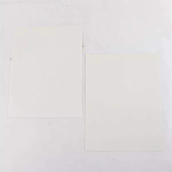 Lot of 2 Portland Winterhawks 8x10 Photos Brandon Coates Nick Vachon