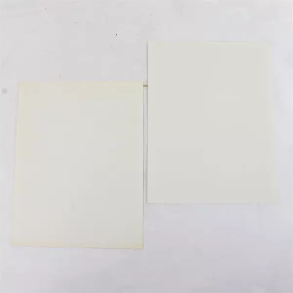 Lot of 2 Portland Winterhawks 8x10 Photos Joaquin Gage & Brandon Smith