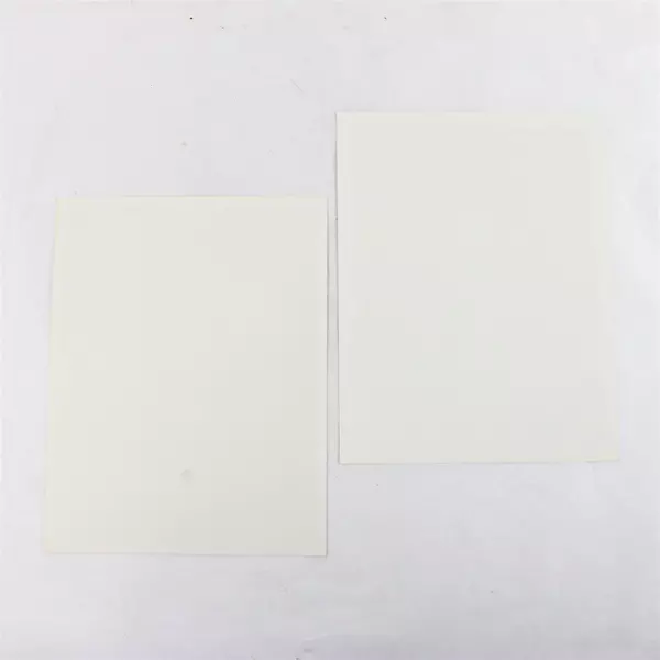 Lot of 2 Portland Winterhawks 8x10 Photos Shawn Collins Lonny Bohonos