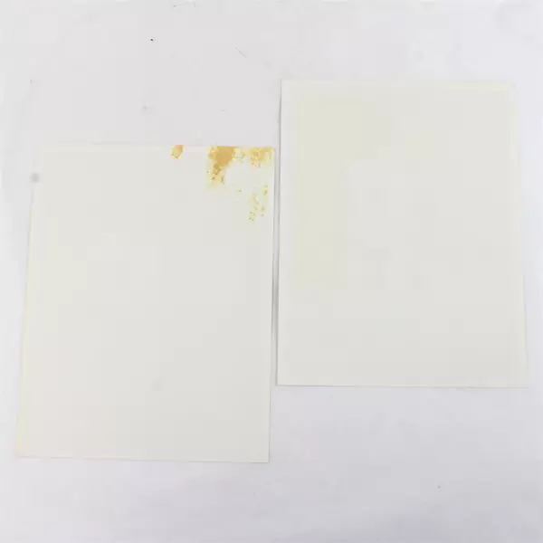 Lot of 2 Portland Winterhawks 8x10 Photos Colin Foley Scott Nichol