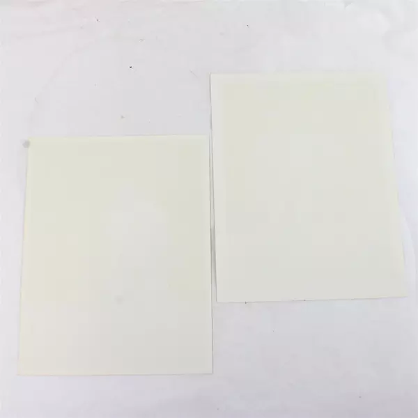 Lot of 2 Portland Winterhawks 8x10 Photos Jason Wiemer Shannon Briske