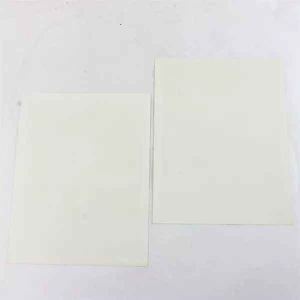 Lot of 2 Portland Winterhawks 8x10 Photos Scott Nichol Dave Scatchard