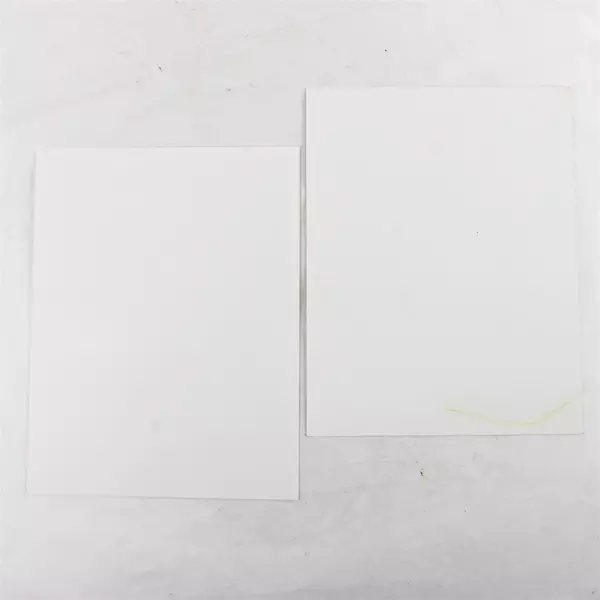 Lot of 2 Portland Winterhawks 8x10 Photos Chris Jacobson Andrew Ference