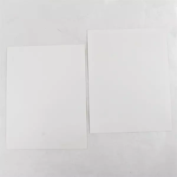 Lot of 2 Portland Winterhawks 8x10 Photos Brent Belecki Doug Strobl Hockey