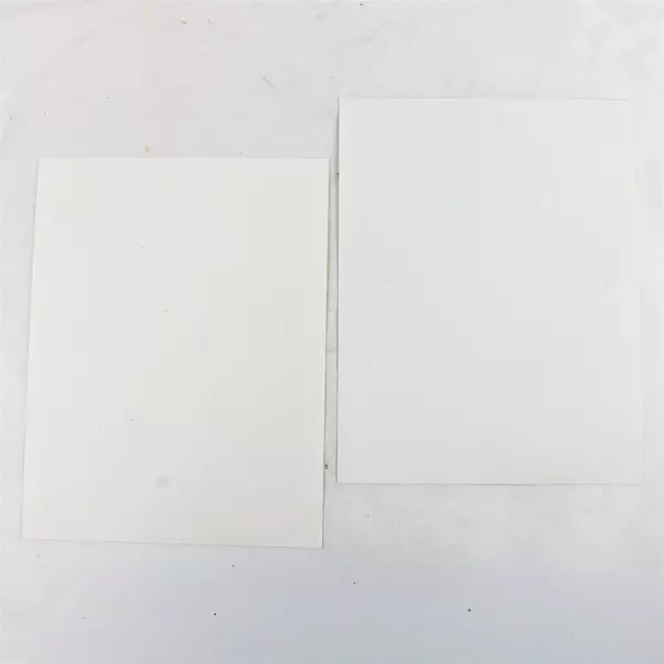 Lot of 2 Portland Winterhawks 8x10 Photos Ondrej Vesely Marty Standish