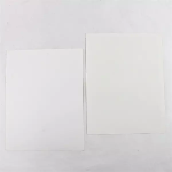 Lot of 2 Portland Winterhawks 8x10 Photos Matt Davidson Todd Hornung